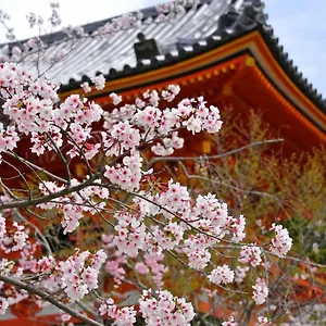 Sakura 祇園北 3* 京都市